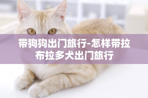 帶狗狗出門旅行-怎樣帶拉布拉多犬出門旅行