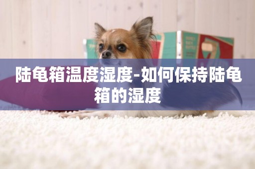 陸龜箱溫度濕度-如何保持陸龜箱的濕度