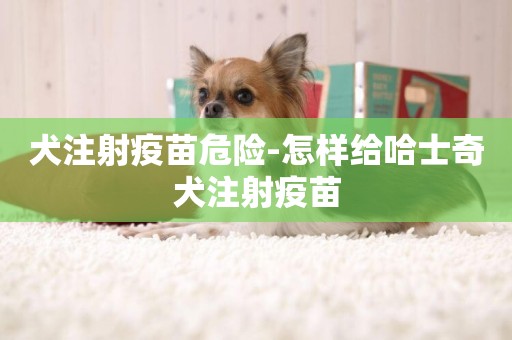 犬注射疫苗危險-怎樣給哈士奇犬注射疫苗
