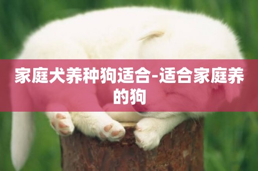 家庭犬養種狗適合-適合家庭養的狗