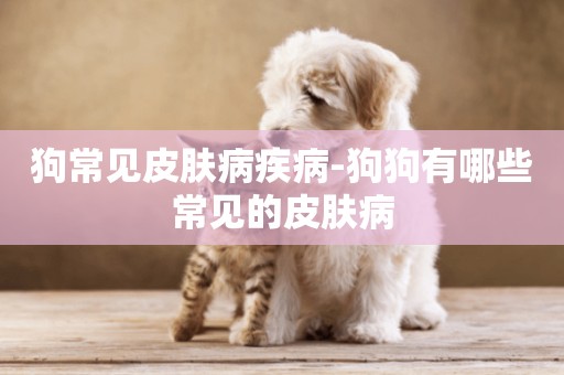 狗常見皮膚病疾病-狗狗有哪些常見的皮膚病