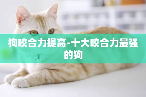 狗咬合力提高-十大咬合力最強的狗
