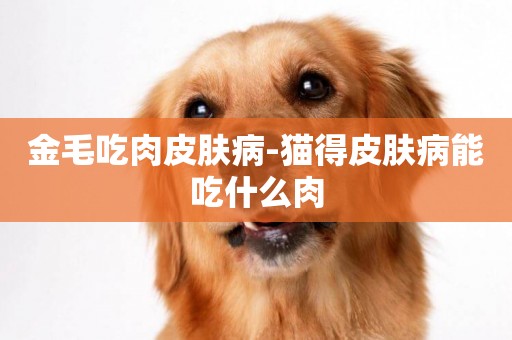 金毛吃肉皮膚病-貓得皮膚病能吃什么肉