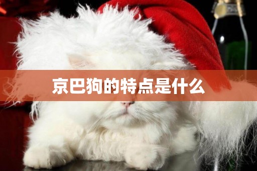 京巴狗的特點是什么