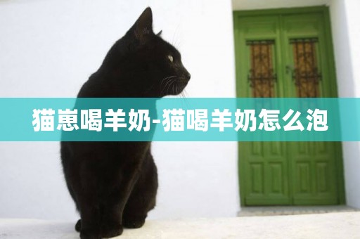 貓崽喝羊奶-貓喝羊奶怎么泡