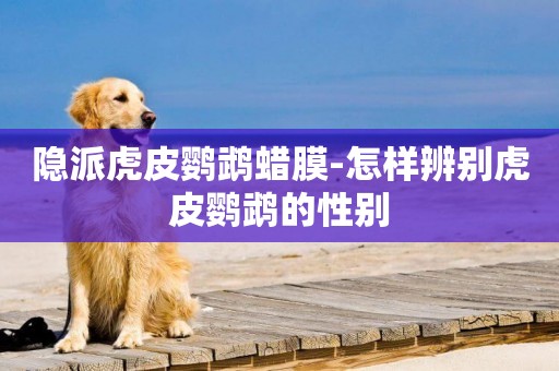 隱派虎皮鸚鵡蠟膜-怎樣辨別虎皮鸚鵡的性別