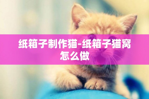 紙箱子制作貓-紙箱子貓窩怎么做