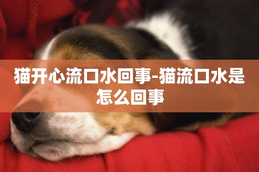 貓開心流口水回事-貓流口水是怎么回事