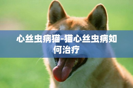 心絲蟲病貓-貓心絲蟲病如何治療