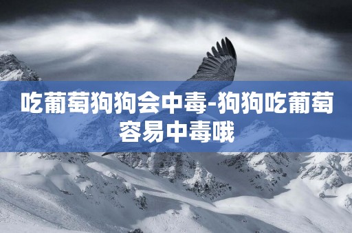 吃葡萄狗狗會中毒-狗狗吃葡萄容易中毒哦