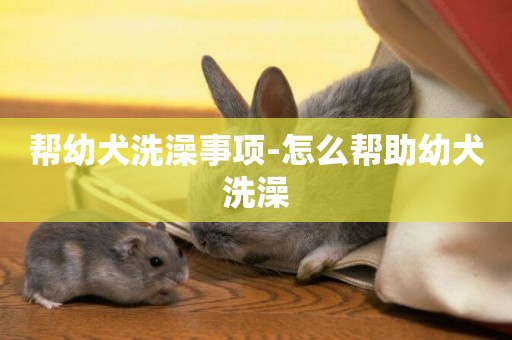 幫幼犬洗澡事項-怎么幫助幼犬洗澡