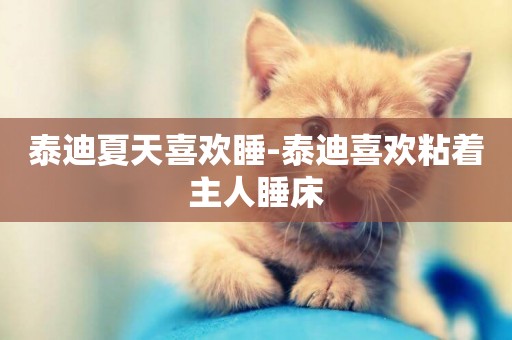 泰迪夏天喜歡睡-泰迪喜歡粘著主人睡床