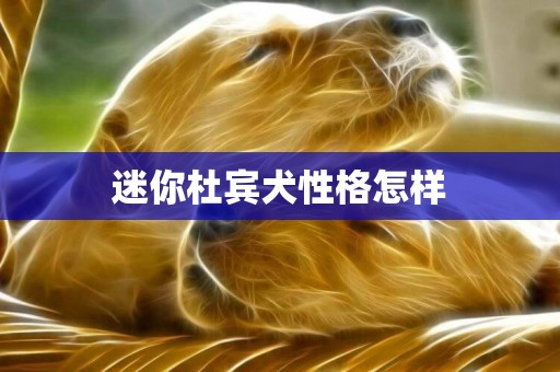 迷你杜賓犬性格怎樣