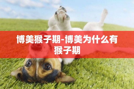 博美猴子期-博美為什么有猴子期
