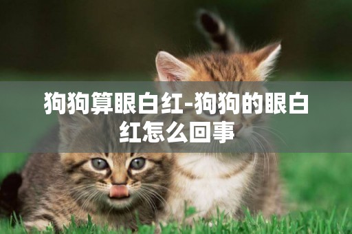 狗狗算眼白紅-狗狗的眼白紅怎么回事