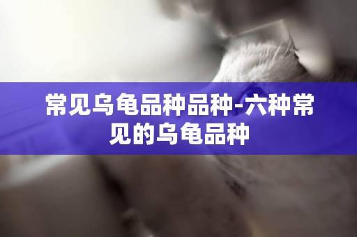 常見烏龜品種品種-六種常見的烏龜品種