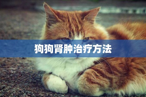 狗狗腎腫治療方法