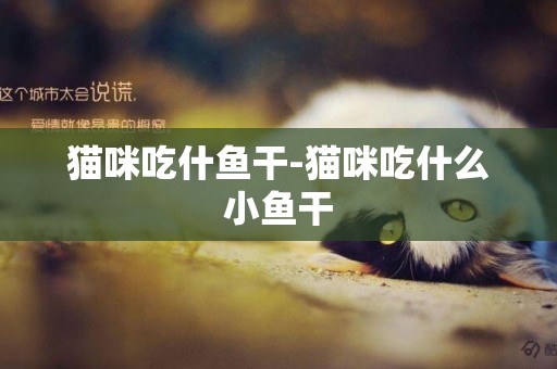 貓咪吃什魚干-貓咪吃什么小魚干