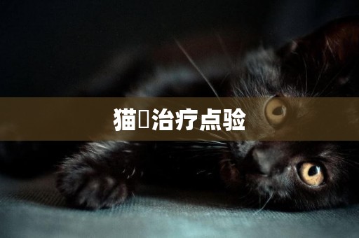貓廯治療點驗