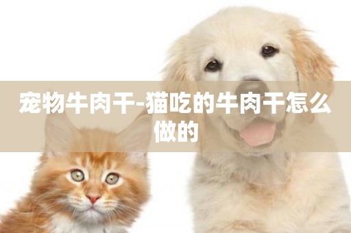 寵物牛肉干-貓吃的牛肉干怎么做的
