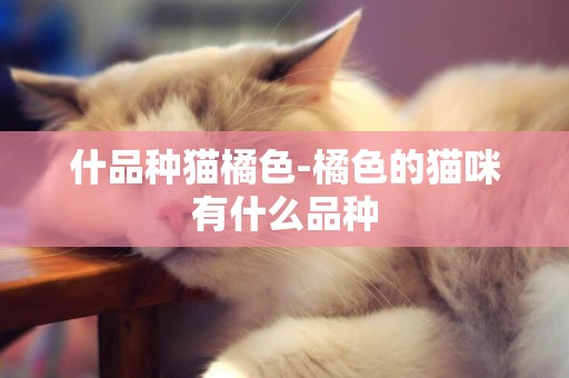 什品種貓橘色-橘色的貓咪有什么品種