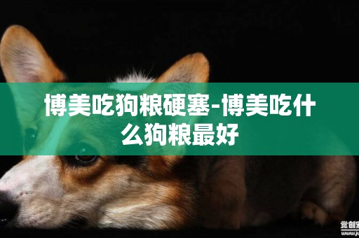 博美吃狗糧硬塞-博美吃什么狗糧最好