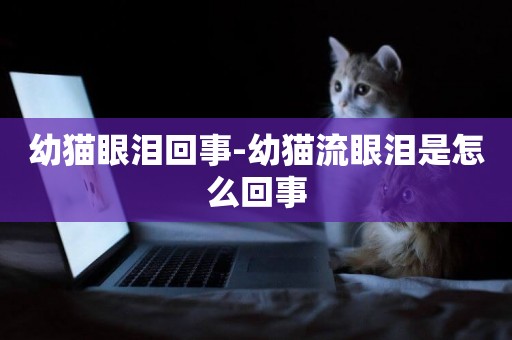 幼貓眼淚回事-幼貓流眼淚是怎么回事