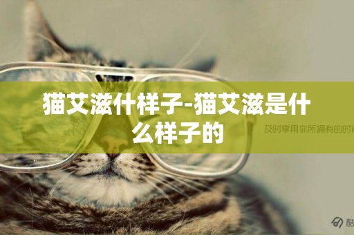 貓艾滋什樣子-貓艾滋是什么樣子的