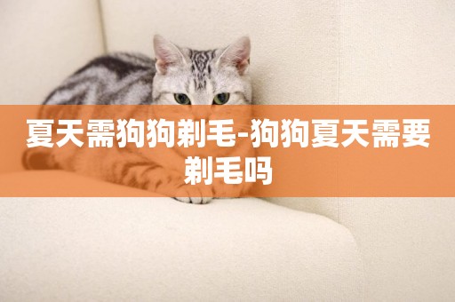 夏天需狗狗剃毛-狗狗夏天需要剃毛嗎