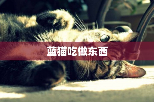 藍貓吃做東西