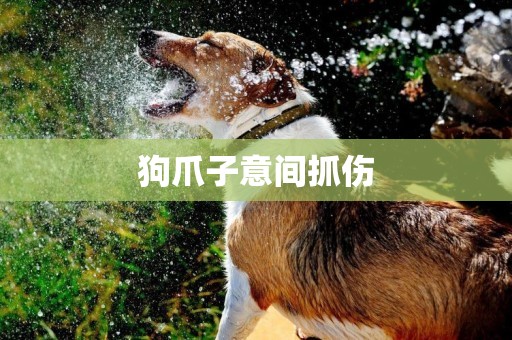 狗爪子意間抓傷