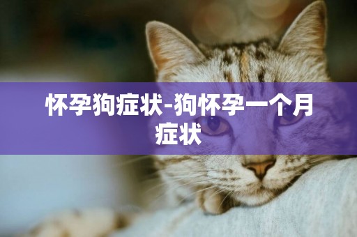 懷孕狗癥狀-狗懷孕一個月癥狀
