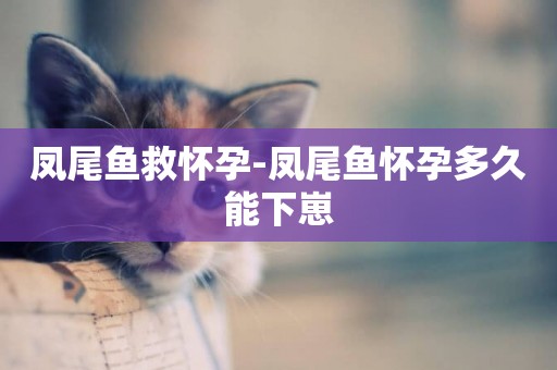 鳳尾魚救懷孕-鳳尾魚懷孕多久能下崽