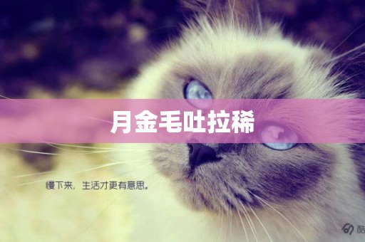 月金毛吐拉稀