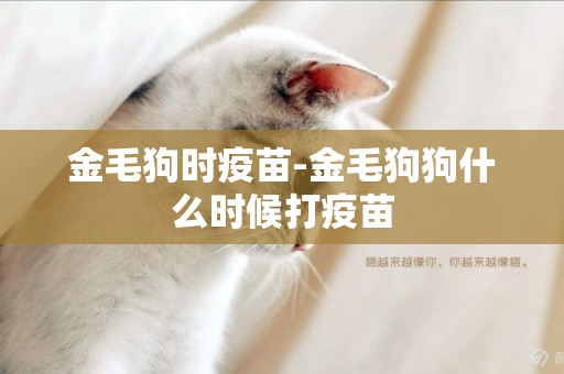 金毛狗時疫苗-金毛狗狗什么時候打疫苗