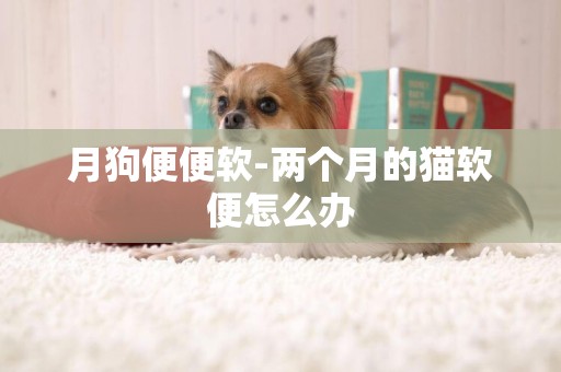 月狗便便軟-兩個月的貓軟便怎么辦