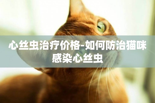 心絲蟲治療價格-如何防治貓咪感染心絲蟲