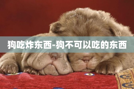 狗吃炸東西-狗不可以吃的東西