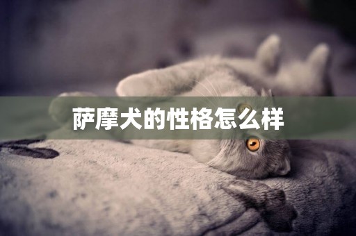 薩摩犬的性格怎么樣