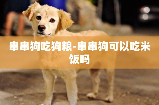 串串狗吃狗糧-串串狗可以吃米飯嗎