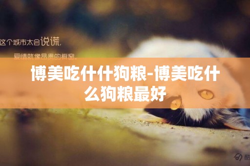 博美吃什什狗糧-博美吃什么狗糧最好