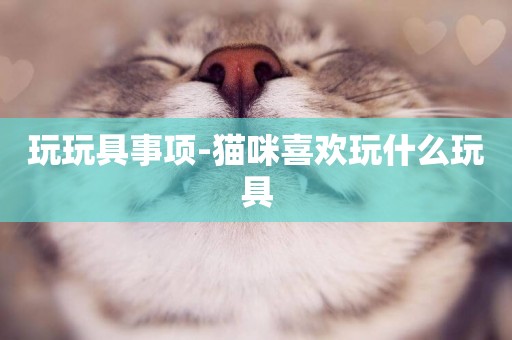 玩玩具事項-貓咪喜歡玩什么玩具