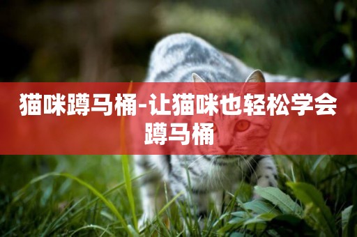 貓咪蹲馬桶-讓貓咪也輕松學會蹲馬桶