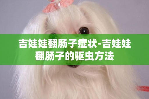 吉娃娃翻腸子癥狀-吉娃娃翻腸子的驅蟲方法