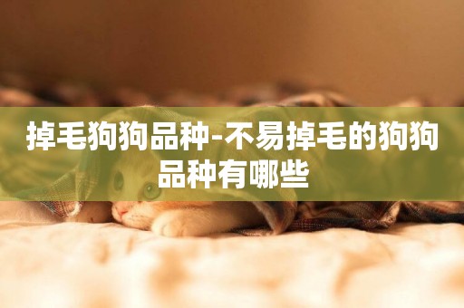 掉毛狗狗品種-不易掉毛的狗狗品種有哪些