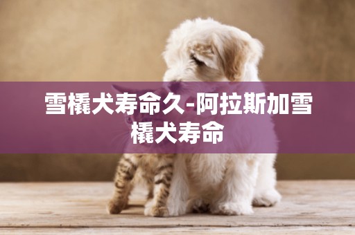 雪橇犬壽命久-阿拉斯加雪橇犬壽命