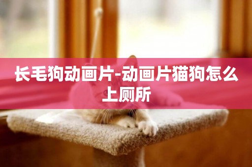 長毛狗動畫片-動畫片貓狗怎么上廁所
