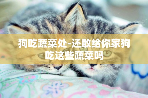 狗吃蔬菜處-還敢給你家狗吃這些蔬菜嗎
