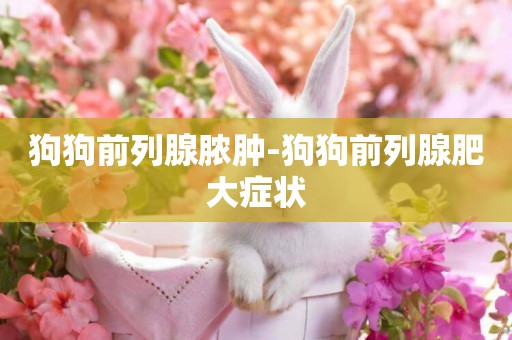 狗狗前列腺膿腫-狗狗前列腺肥大癥狀
