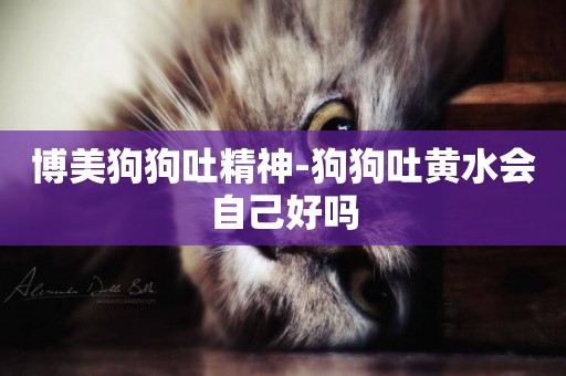 博美狗狗吐精神-狗狗吐黃水會自己好嗎